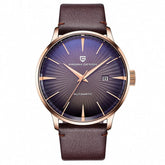 Pagani Design Luxury Automatic Men's watch