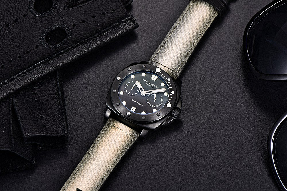 Pagani Design Automatic Mechanical men's Watch