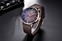 Pagani Design Luxury Automatic Men's watch